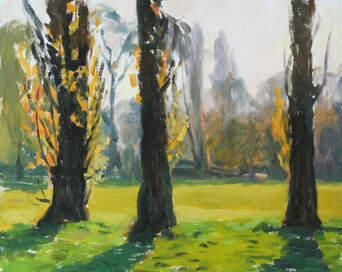 original plein air impressionist realist oil landscape painting of three poplar trees, in spring in golden evening light