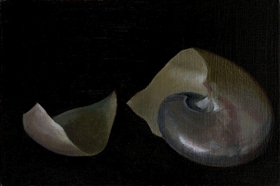 Realist still life oil painting of a broken nautilus shell