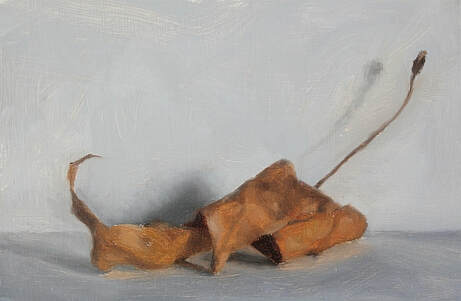 Winter leaf, original oil painting on primed card. A brown, curled dried winter leaf from a sycamore tree