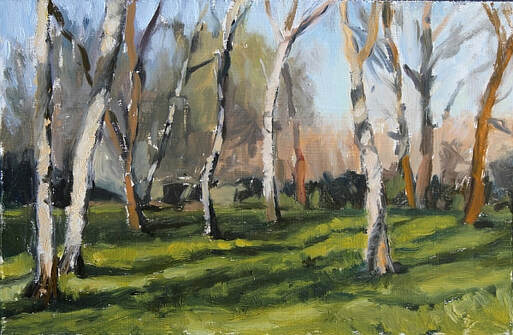 Plein air realist impressionist landscape oil painting of birch trees on a bright winter morning in Orleans House Woods, Twickenham. The low winter sunlight cast an orange glow over the scene, the white bark of the birch trees radiant in the bright sunshine.
